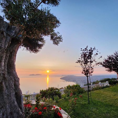 Festim Villa Hotel Kanine Eksteriør billede